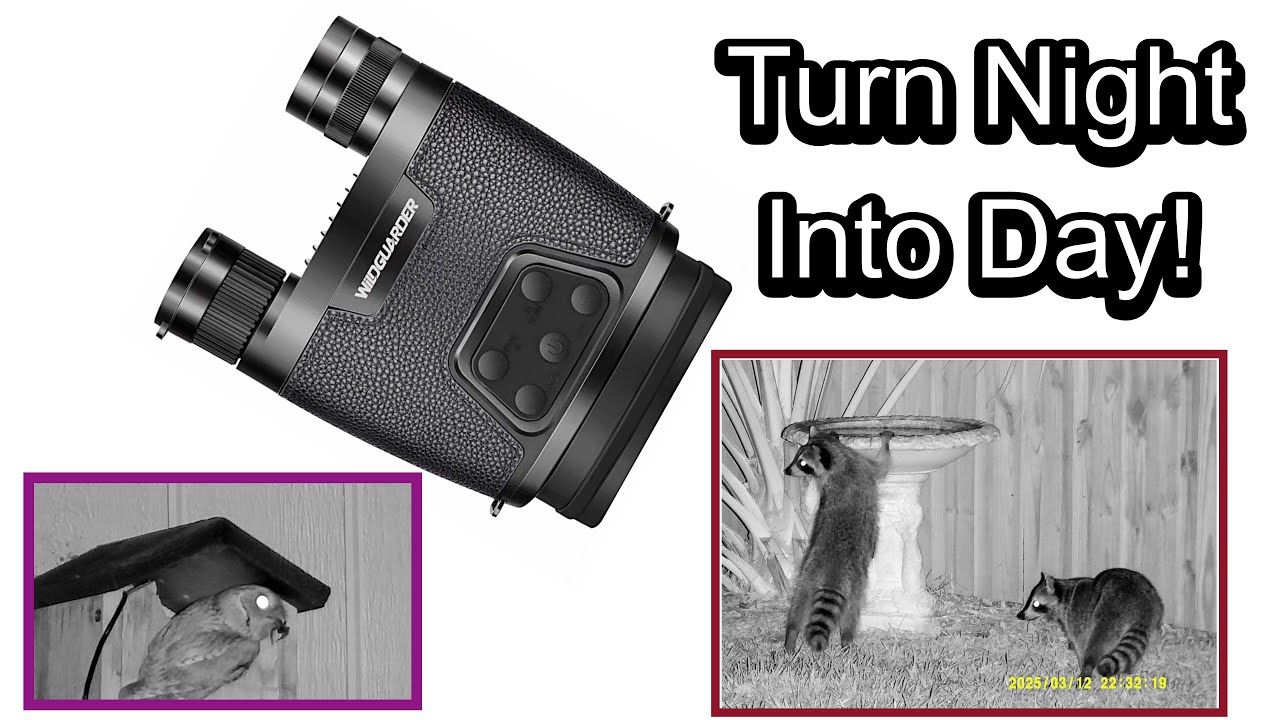 Wildguarder WG6000 Night Vision Binoculars review