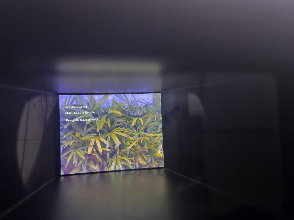 Image #1 from J Lewis